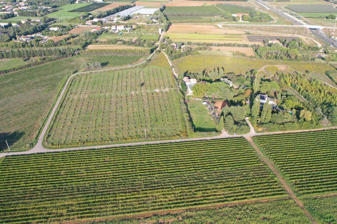 Domaine De La Trinite Montpellier - Aeroport - Plages - Arena - Zenith Saint-Aunes Exteriör bild